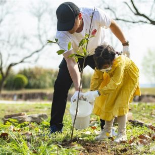 Equal to 16.4% of the UK, China Afforested 3,998,000 Hectares in 2023