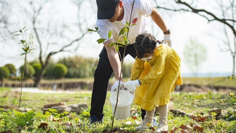 Equal to 16.4% of the UK, China Afforested 3,998,000 Hectares in 2023